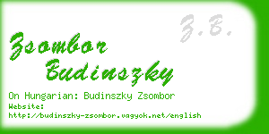 zsombor budinszky business card
